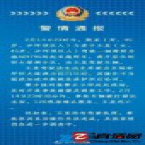 重庆九龙坡作协副主席驾车坠河身亡 系操作失误