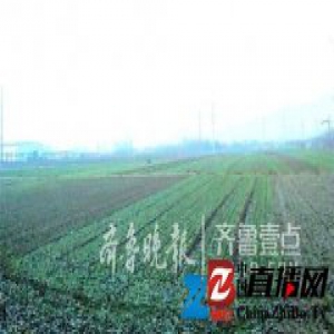 山东大学新建主校区 周边房价应声看涨