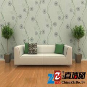 壁纸市场价格混乱 8个壁纸样品试验不合格