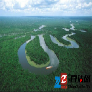 致匠心|好地板是怎样炼成的之实木地板——坯料筛选