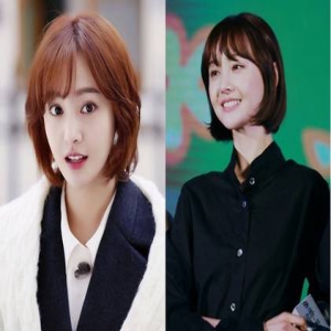 郑爽全国后援会解散 粉丝高层直言“被偶像抛弃”