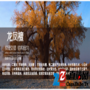行业大咖带你逛安信，地板这么选省钱才又好