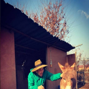 卢洪哲领养一头驴 感叹遇到命运的伴侣