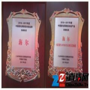 海尔小海贝洗碗机获“中国家电网购受欢迎品牌”大奖