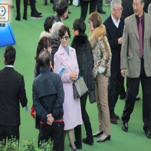 62岁赵雅芝现身马场 穿粉色风衣优雅贵气(图)