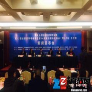 海内外68队贵州万山风筝节一争高下