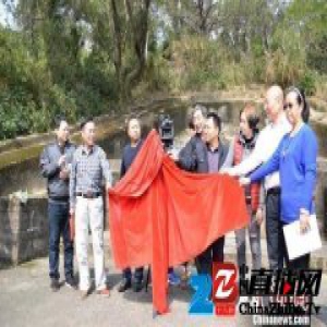 纪录片《爱国者陈宝