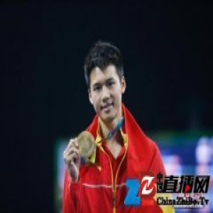 世界跳水系列赛：中国队再夺三枚金牌