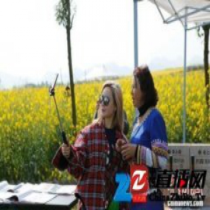 云南罗平启动2017年互联网+农旅文化主题活动