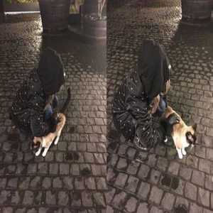 蔡依林路遇小猫撒娇 没想到它竟是在挑仆人