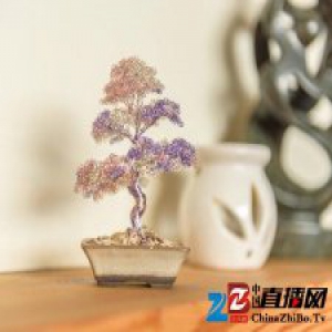 盆栽难种？这里有个金属版本其实也挺好看｜这个设计了不起