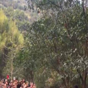 黄晓明拍完《琅琊榜2》离场 人气爆棚遭层层围观