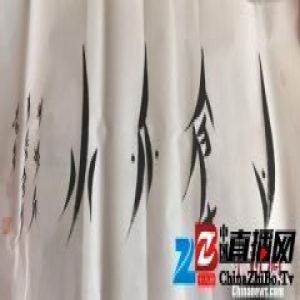 女书传人：拯救女性世界古老语言的“花木兰”