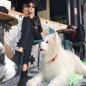 天好人也美！马伊琍穿黑衣外出 翘二郎腿霸气落座(图)