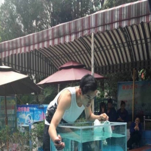 吴磊录节目穿着“清凉” 肌肉结实身材好(图)