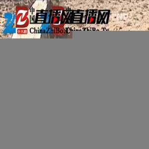 内蒙古阿拉善左旗新发现一处远古岩画群