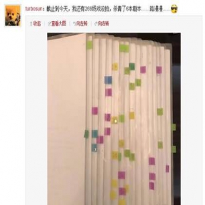 娘娘太敬业！孙俪晒剧本 密密麻麻贴满了标签(图)