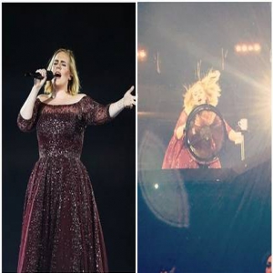 演唱会上保安要求观众坐下，阿黛尔一句话霸气护粉