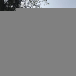 四川三台千人祭祖大典 萧何后裔共叙亲情