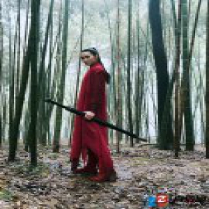 《火烧红莲寺》领跑收视 周开开不妄杨紫琼期望