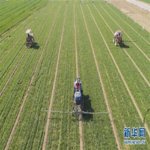 河北故城：抢抓农时春管忙