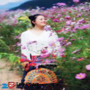 不爱宣传只爱拍戏旅行 王力可才是演艺界的一股清流