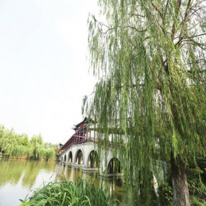 铁腕丹心守护碧水蓝天 山东环保人用“铁军风采”回应百姓期待