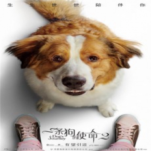 《一条狗的使命2》曝回归版预告