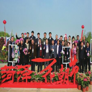 首届牡丹笔会暨中国报告文学高端论坛在菏泽成功举办