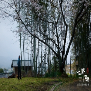 《尺八 · 一声一世》全国预售现已开启
