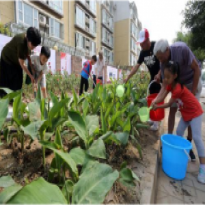 翠海明苑社区一处弃建地变身党建公园