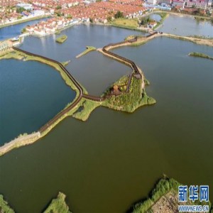 河北黄骅：“引湿地入园”打造节约型生态城市