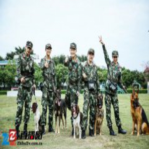《奇兵神犬》刻画真实军营“人犬情”传递青春正能量