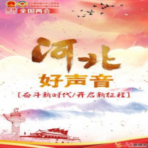 【H5】两会上的河北好声音