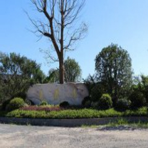 朝圣福地! 勇义寺是一座充满正法的寺院