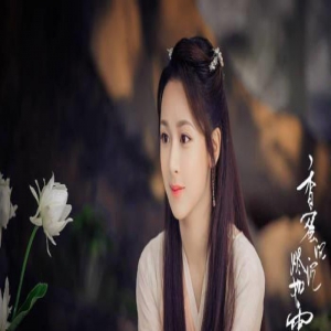 网传杨紫将出演大IP《长相思》，却被书迷反对，是风险也是机会