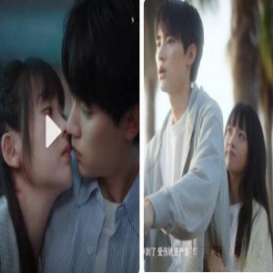 《当我飞奔向你》原著小说叫什么名字？张陆让什么时候喜欢苏在在的？