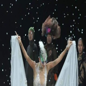 杨丽萍的先锋艺术放错了地方，她的新孔雀舞不该让大众点评