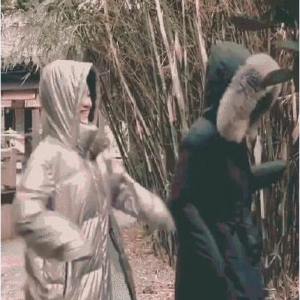 赵丽颖张慧雯斗舞怎么回事？终于真相了，原来是这样！