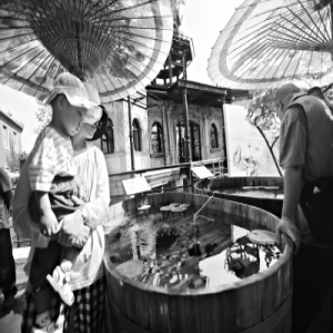 故宫创新办展方式 活金鱼与金鱼题材文物相映成趣