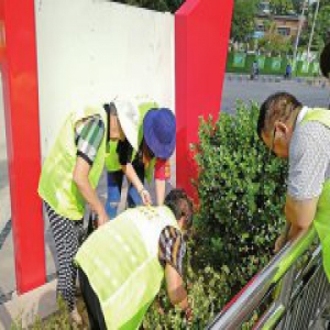 志愿者城市的温度因你而在