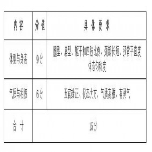 2019年安徽高考艺术专业统一考试模块三考试说明（试行）