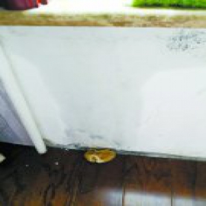 新小区年年漏雨年年修 壁纸全被雨水泡开了