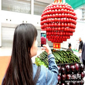 【高清组图】蔬菜拼成画 展商都是艺术家