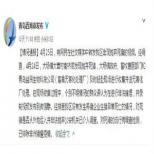 网传青岛一河边现死猪 官方：已进行无害化处理