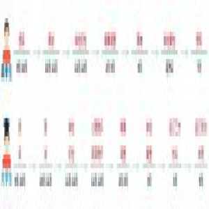 招飞9月启动：空军、海军、民航招飞流程及报考条件