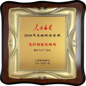康宁荣获2018年度《人民邮电》编辑推荐奖