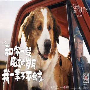 《一条狗的使命2》蝉联单日票房冠军