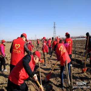 纵论两会|三月阳春，要造林，更要护林