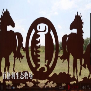 寻蒙古马记